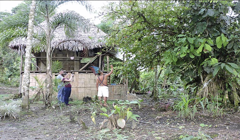 ecuador jungle tour