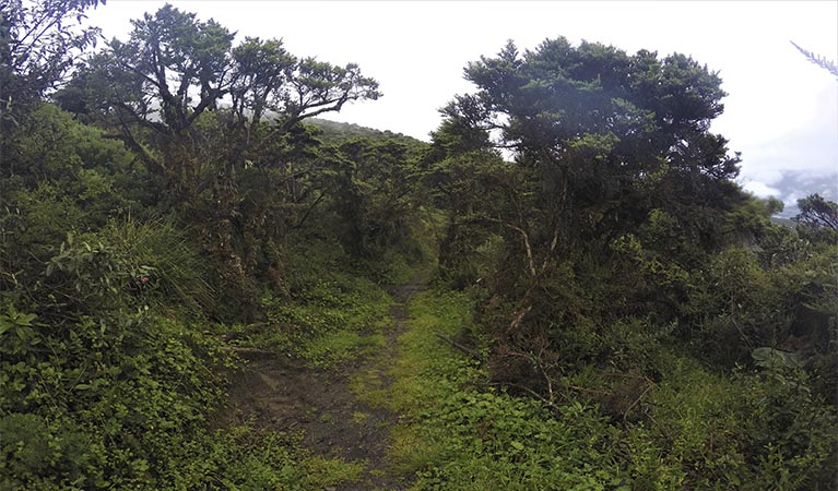  trekking tungurahua banos